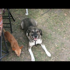 Meet your Posher, Elena